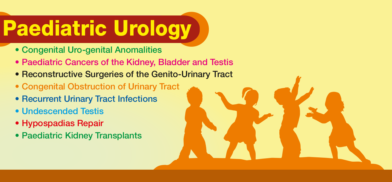 Best Nephrology And Urology Hospital In Bangalore | Kidney Specialist ...