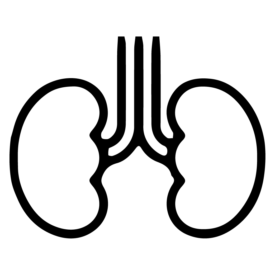 Years of Expertise in Nephrology and Urology